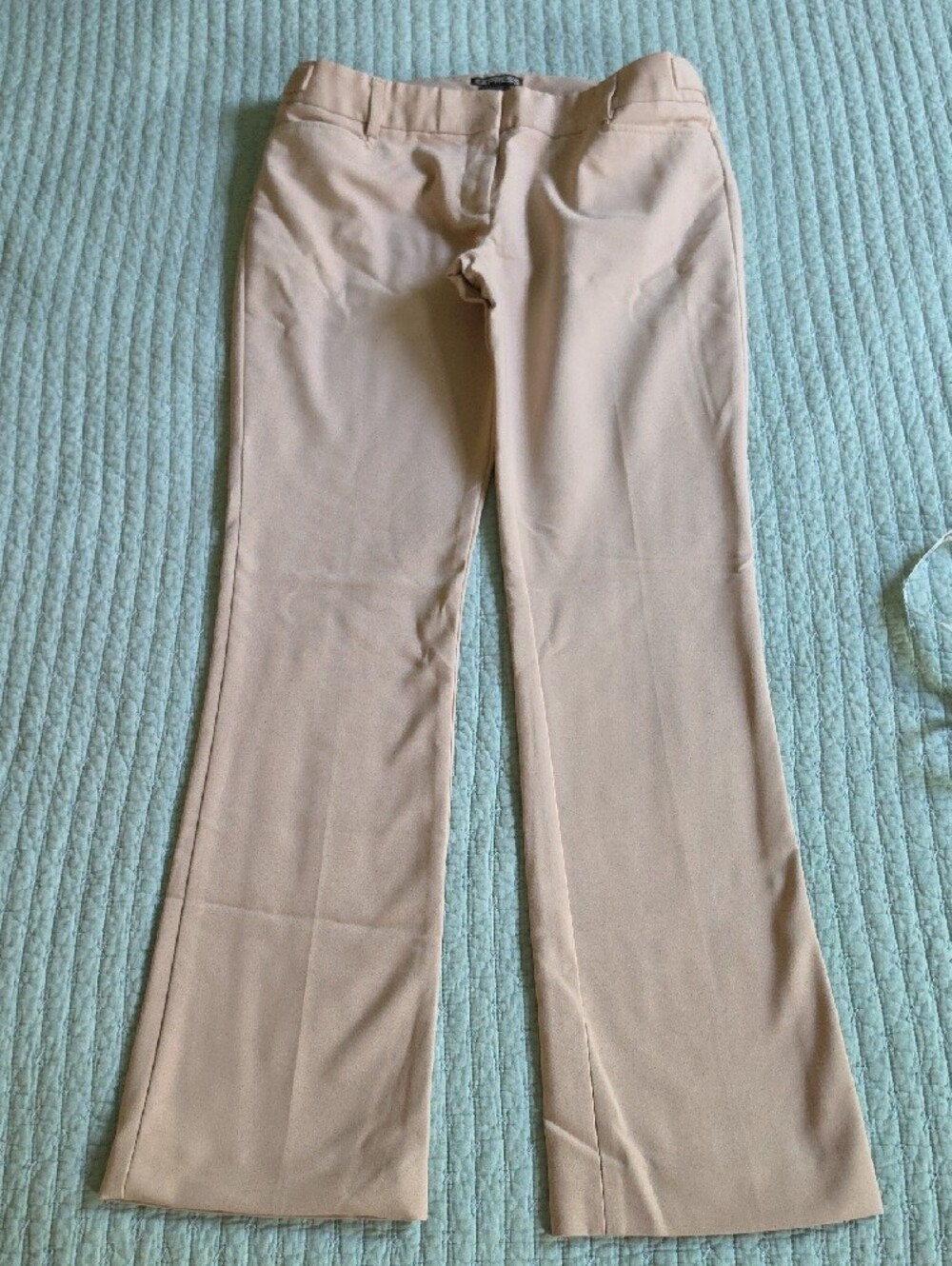 Express Pants in Dusty Pink 6R